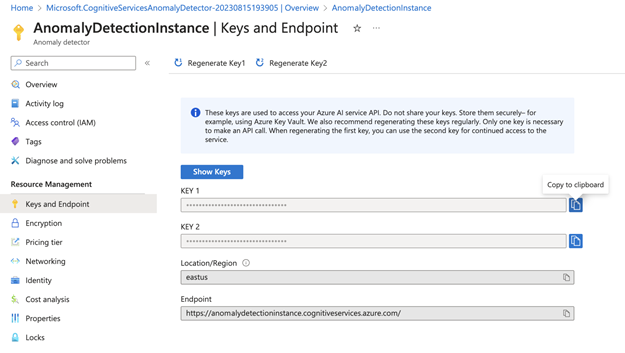 image of Anomaly Detection Instance Keys and Endpoints