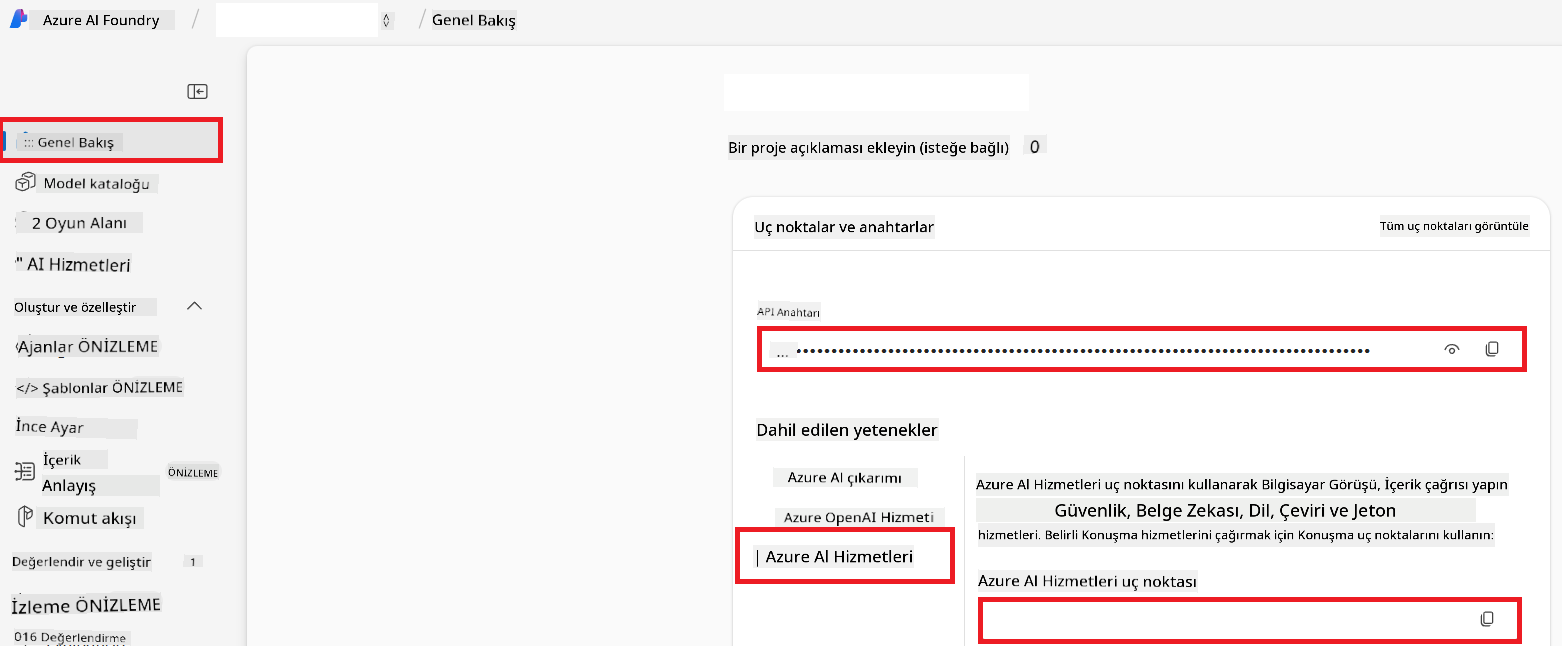 API Key ve Endpoint Bulma