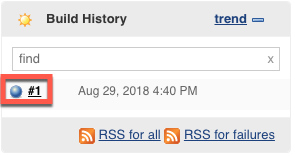 Jenkins Build History