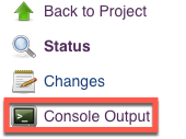 Jenkins Console Log