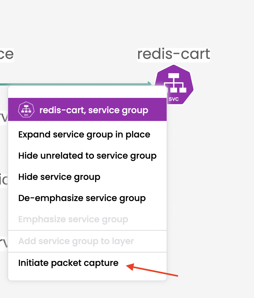 initial packet capture