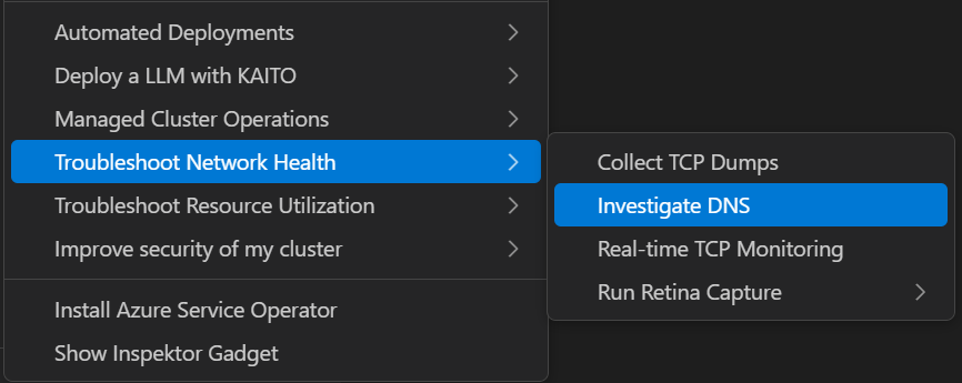 DNS investigation menu